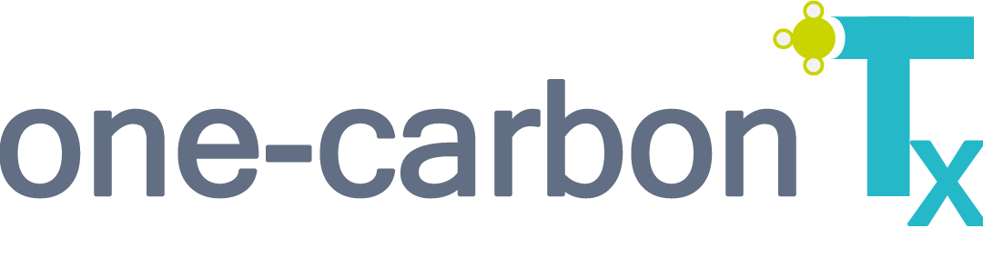 Eir Ventures completes investment in one-carbon Therapeutics. Magnus Persson and Alexander Mata join the board of directors, with Magnus Persson as chairman